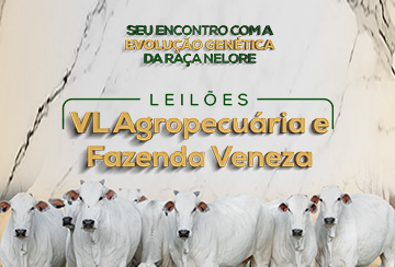 LEILÃO VL AGROPECUÁRIA E FAZENDA VENEZA - FÊMEAS PREMIUM